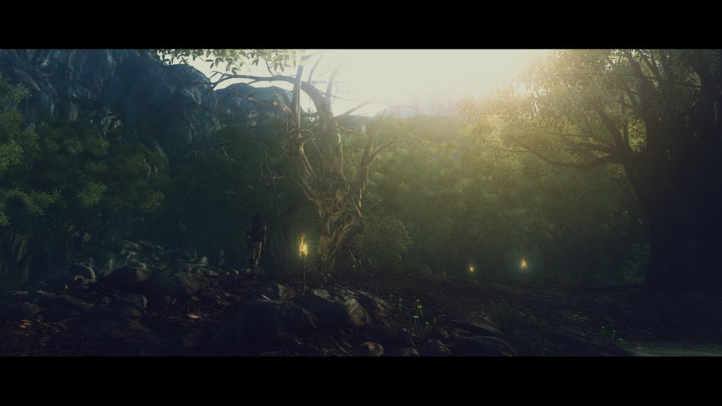 Fallout 3 enb dev